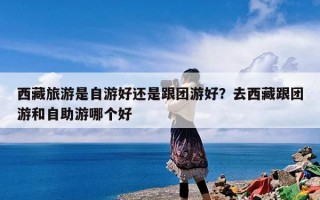 西藏旅游是自游好还是跟团游好？去西藏跟团游和自助游哪个好