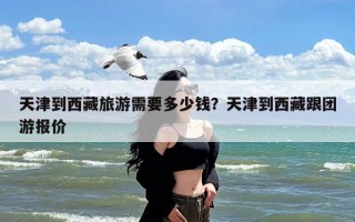 天津到西藏旅游需要多少钱？天津到西藏跟团游报价