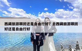 西藏旅游跟团还是自由行好？去西藏旅游跟团好还是自由行好