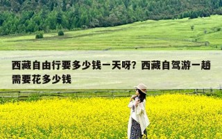 西藏自由行要多少钱一天呀？西藏自驾游一趟需要花多少钱