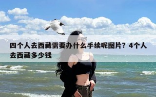 四个人去西藏需要办什么手续呢图片？4个人去西藏多少钱