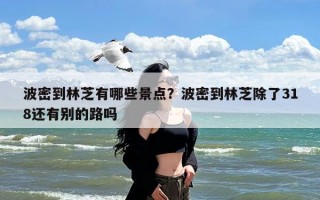 波密到林芝有哪些景点？波密到林芝除了318还有别的路吗