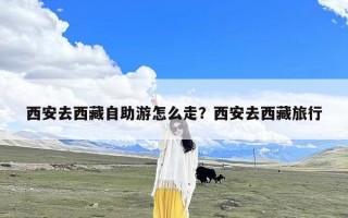 西安去西藏自助游怎么走？西安去西藏旅行