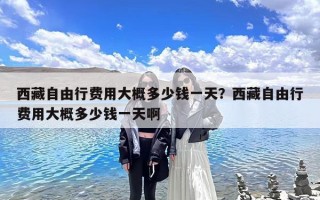 西藏自由行费用大概多少钱一天？西藏自由行费用大概多少钱一天啊
