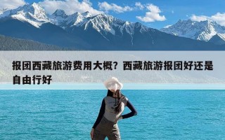 报团西藏旅游费用大概？西藏旅游报团好还是自由行好