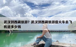 武汉到西藏旅游？武汉到西藏旅游座火车去飞机返多少钱