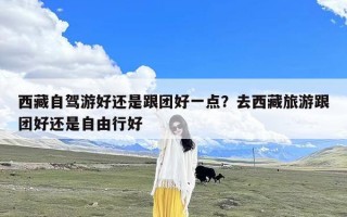 西藏自驾游好还是跟团好一点？去西藏旅游跟团好还是自由行好
