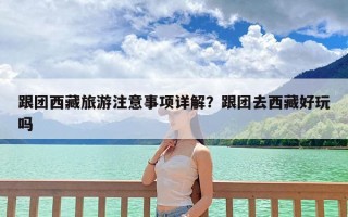 跟团西藏旅游注意事项详解？跟团去西藏好玩吗