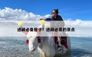 进藏必备屋子？进藏必看的景点