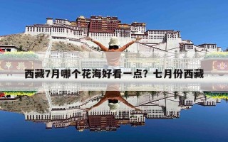 西藏7月哪个花海好看一点？七月份西藏