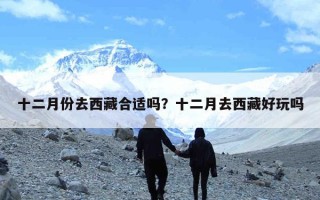 十二月份去西藏合适吗？十二月去西藏好玩吗