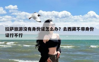 拉萨旅游没有身份证怎么办？去西藏不带身份证行不行