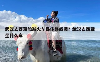 武汉去西藏旅游火车最佳路线图？武汉去西藏坐什么车