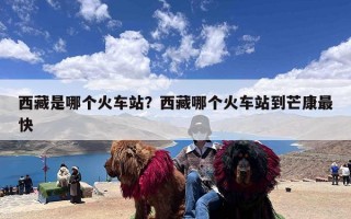 西藏是哪个火车站？西藏哪个火车站到芒康最快