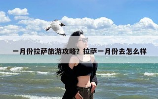 一月份拉萨旅游攻略？拉萨一月份去怎么样