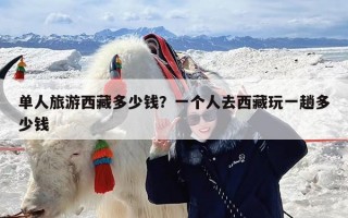 单人旅游西藏多少钱？一个人去西藏玩一趟多少钱