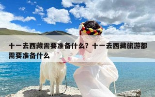 十一去西藏需要准备什么？十一去西藏旅游都需要准备什么