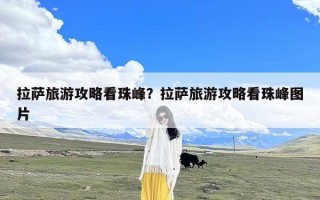 拉萨旅游攻略看珠峰？拉萨旅游攻略看珠峰图片