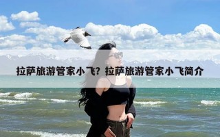 拉萨旅游管家小飞？拉萨旅游管家小飞简介