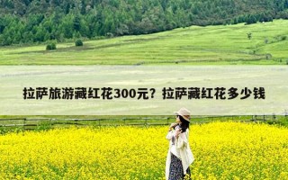 拉萨旅游藏红花300元？拉萨藏红花多少钱