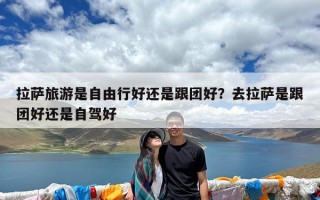 拉萨旅游是自由行好还是跟团好？去拉萨是跟团好还是自驾好