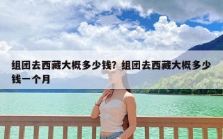 组团去西藏大概多少钱？组团去西藏大概多少钱一个月