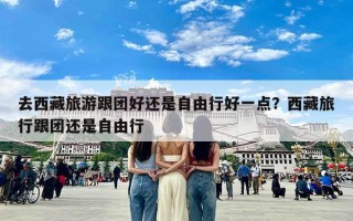 去西藏旅游跟团好还是自由行好一点？西藏旅行跟团还是自由行