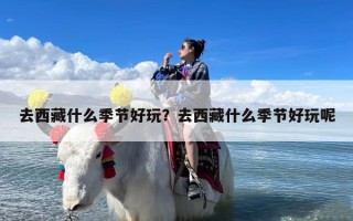 去西藏什么季节好玩？去西藏什么季节好玩呢