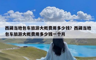 西藏当地包车旅游大概费用多少钱？西藏当地包车旅游大概费用多少钱一个月