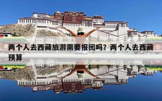两个人去西藏旅游需要报团吗？两个人去西藏预算