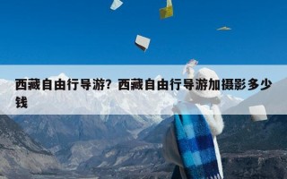 西藏自由行导游？西藏自由行导游加摄影多少钱