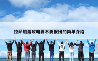 拉萨旅游攻略要不要报团的简单介绍