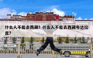 什么人不能去西藏？什么人不能去西藏布达拉宫?