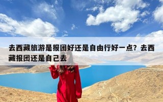 去西藏旅游是报团好还是自由行好一点？去西藏报团还是自己去