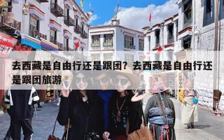 去西藏是自由行还是跟团？去西藏是自由行还是跟团旅游