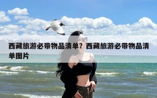 西藏旅游必带物品清单？西藏旅游必带物品清单图片