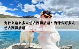 为什么这么多人想去西藏旅游？为什么好多人想去西藏旅游