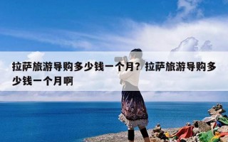 拉萨旅游导购多少钱一个月？拉萨旅游导购多少钱一个月啊