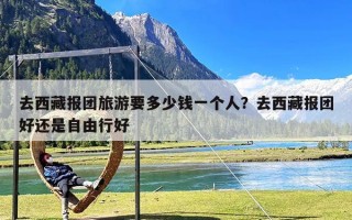 去西藏报团旅游要多少钱一个人？去西藏报团好还是自由行好