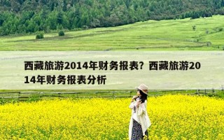 西藏旅游2014年财务报表？西藏旅游2014年财务报表分析