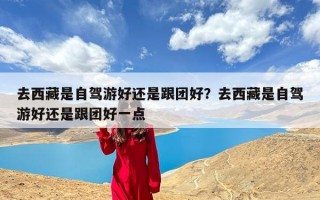 去西藏是自驾游好还是跟团好？去西藏是自驾游好还是跟团好一点