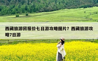 西藏旅游团报价七日游攻略图片？西藏旅游攻略7日游