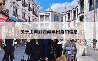 关于上海到西藏跟团游的信息