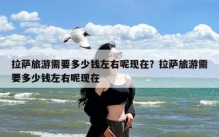 拉萨旅游需要多少钱左右呢现在？拉萨旅游需要多少钱左右呢现在