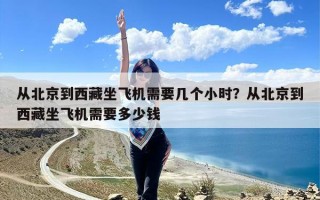 从北京到西藏坐飞机需要几个小时？从北京到西藏坐飞机需要多少钱