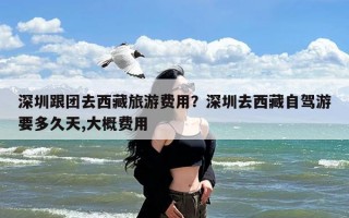 深圳跟团去西藏旅游费用？深圳去西藏自驾游要多久天,大概费用