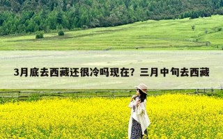 3月底去西藏还很冷吗现在？三月中旬去西藏