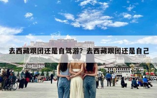 去西藏跟团还是自驾游？去西藏跟团还是自己