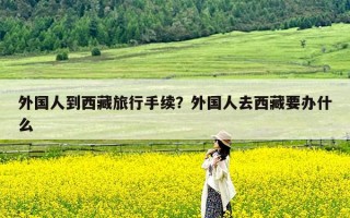 外国人到西藏旅行手续？外国人去西藏要办什么