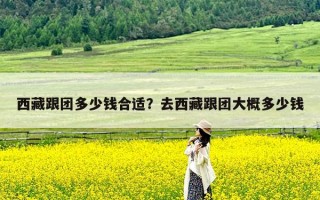 西藏跟团多少钱合适？去西藏跟团大概多少钱